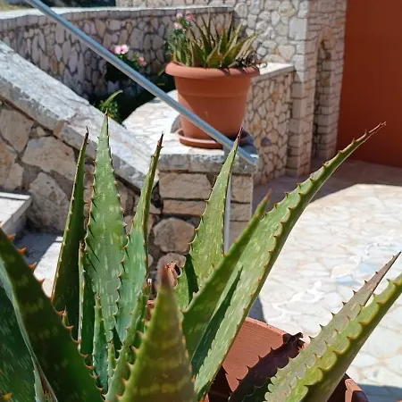 فيلة Corfu Town 'panoramic View House' *